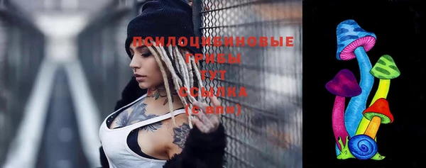 молекула духа Аркадак