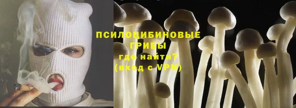ГАЛЛЮЦИНОГЕННЫЕ ГРИБЫ Арсеньев