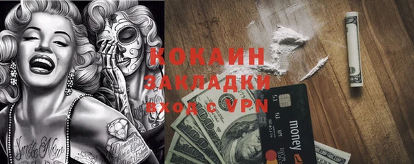 ГАЛЛЮЦИНОГЕННЫЕ ГРИБЫ Арсеньев