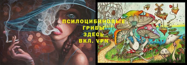 ГАЛЛЮЦИНОГЕННЫЕ ГРИБЫ Арсеньев