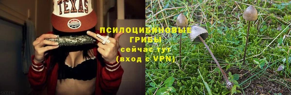 apvp Алзамай