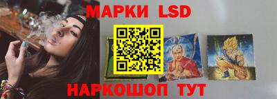 apvp Свободный