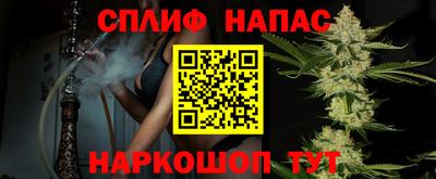 apvp Свободный