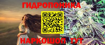 apvp Свободный