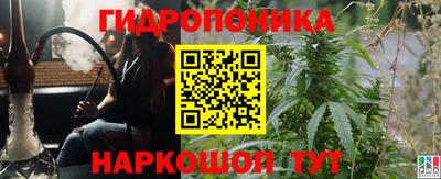 apvp Свободный