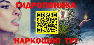 apvp Свободный