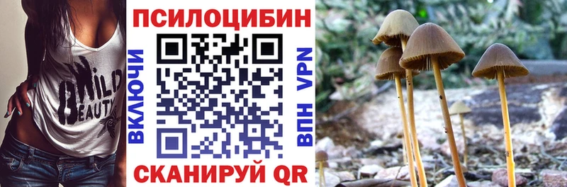 Галлюциногенные грибы Cubensis  OMG онион  Моздок 