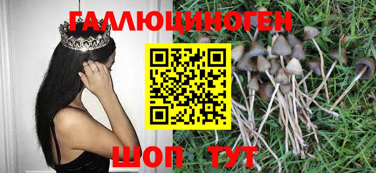Псилоцибиновые грибы Magic Shrooms Моздок