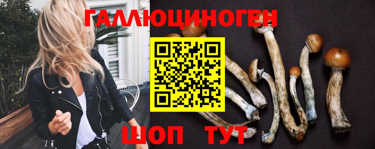Моздок  Галлюциногенные грибы Magic Shrooms  Вход с VPN 